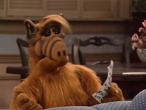 24/7 ALF COLLECTION - 24/7 CHANNELS