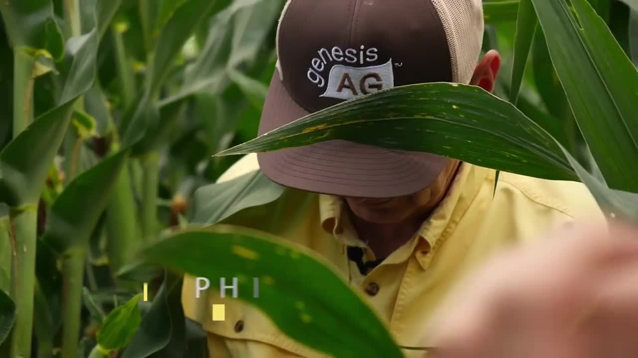 24/7 CORN WARS COLLECTION - 24/7 CHANNELS