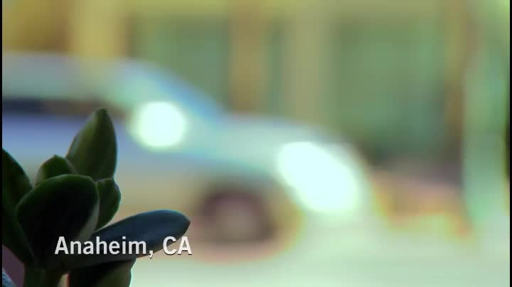 24/7 FLIP OR FLOP COLLECTION - 24/7 CHANNELS