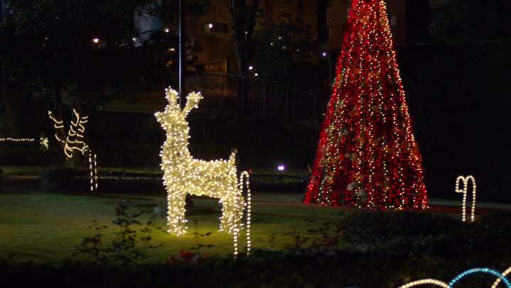 24/7 NARCOS COLLECTION - 24/7 CHANNELS