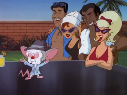24/7 PINKY AND THE BRAIN COLLECTION - 24/7 CHANNELS