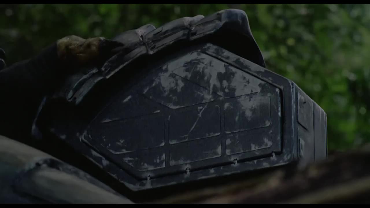 24/7 PREDATOR COLLECTION - 24/7 CHANNELS