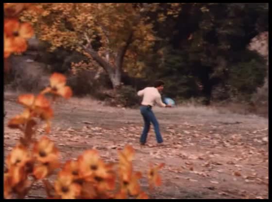 24/7 THE DUKES OF HAZZARD S05 S07 COLLECTION - 24/7 CHANNELS