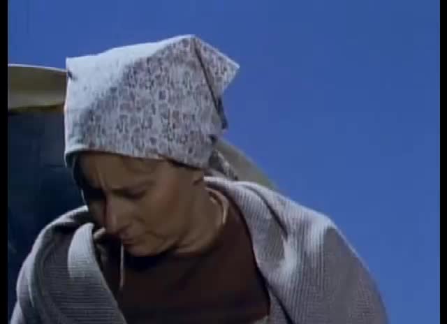 24/7 THE LIFE AND TIMES OF GRIZZLY ADAMS COLLECTION - 24/7 CHANNELS