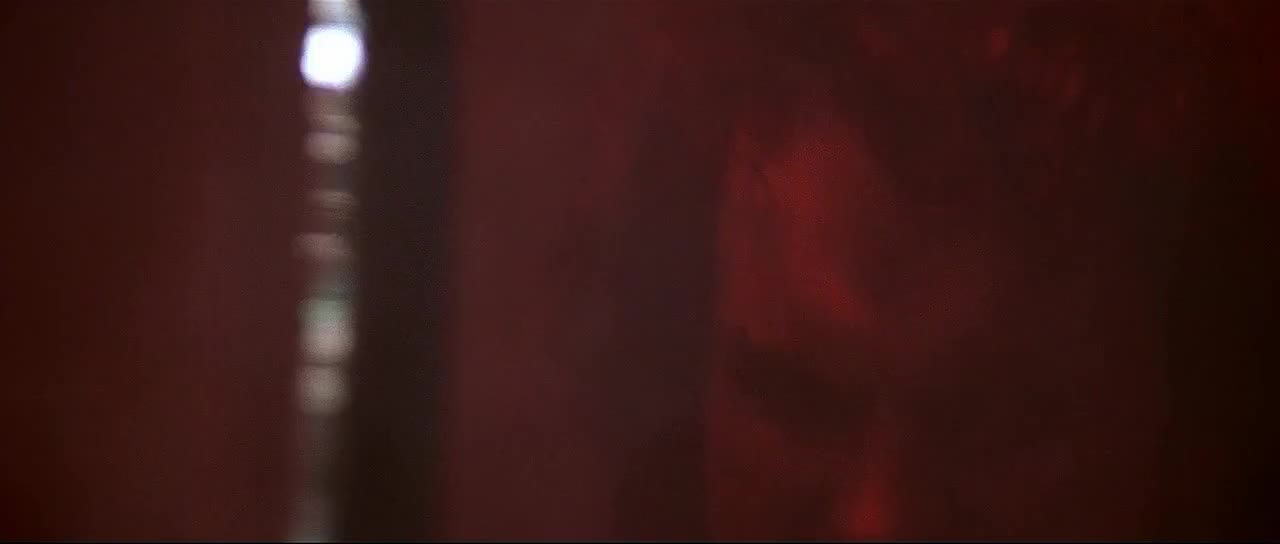 24/7 THE LOST BOYS COLLECTION - 24/7 CHANNELS