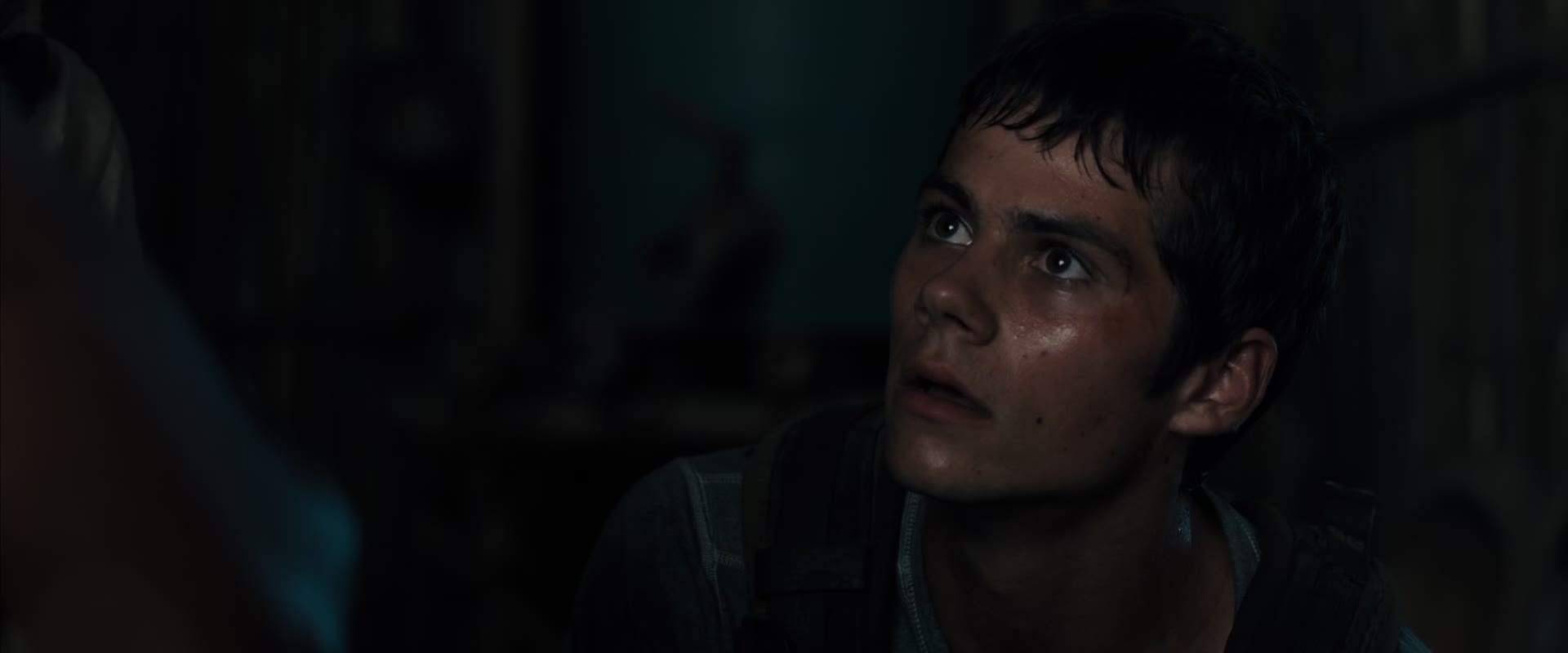 24/7 THE MAZE RUNNER COLLECTION - 24/7 CHANNELS