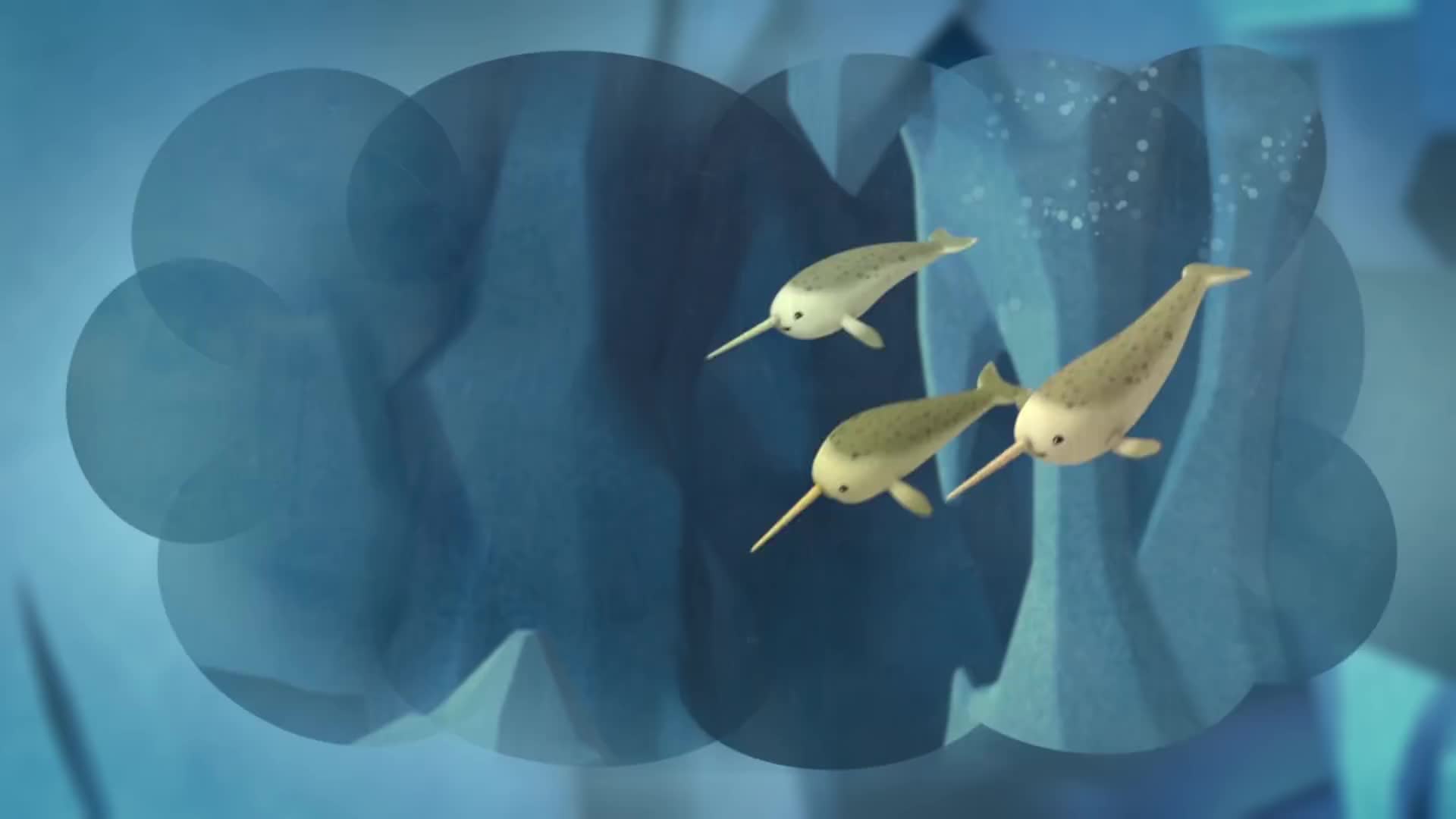 24/7 THE OCTONAUTS COLLECTION - 24/7 CHANNELS