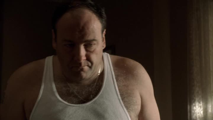 24/7 THE SOPRANOS S05 COLLECTION - 24/7 CHANNELS
