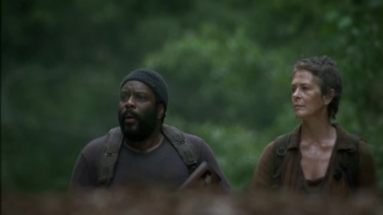 24/7 THE WALKING DEAD S04 S05 COLLECTION - 24/7 CHANNELS