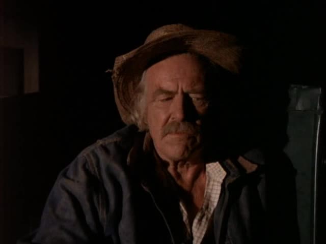 24/7 THE WALTONS SEASON 1 COLLECTION - 24/7 CHANNELS