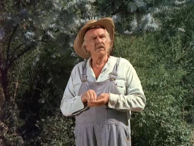 24/7 THE WALTONS SEASON 2 COLLECTION - 24/7 CHANNELS