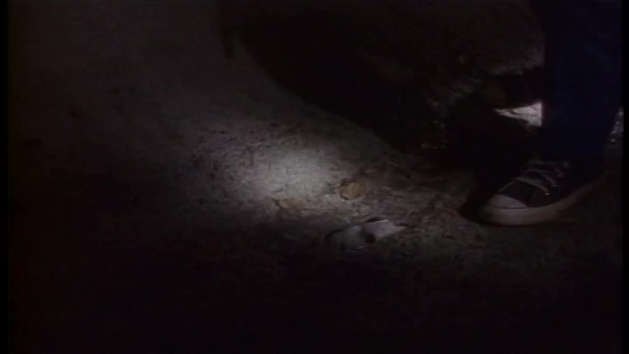 24/7 THE WONDER YEARS COLLECTION - 24/7 CHANNELS