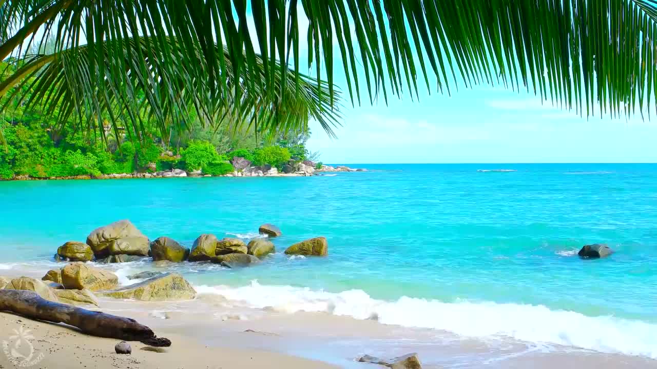 24/7 TROPICAL ISLAND BEACH COLLECTION - 24/7 CHANNELS