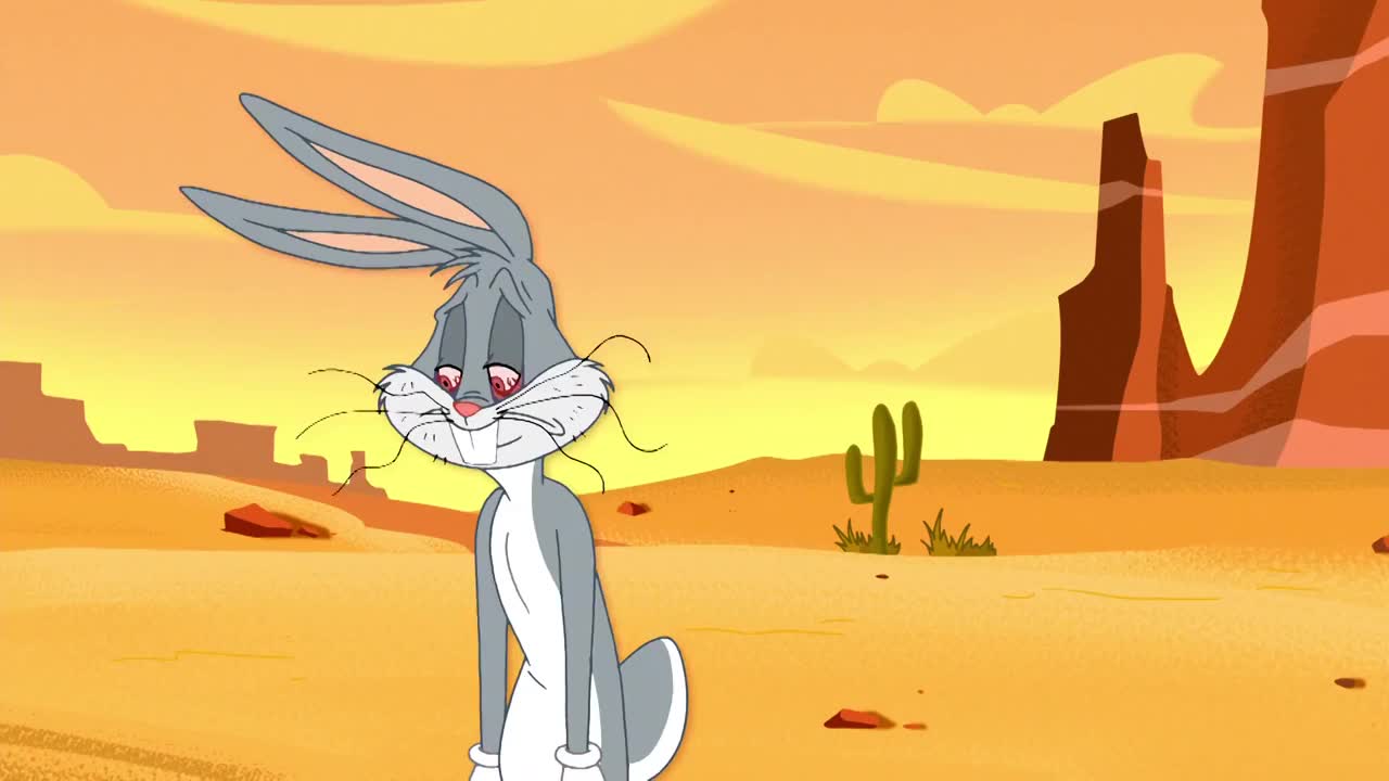 24/7 ES EL SHOW DE LOS LOONEY TUNES SERIE COMPLETA HD - 24/7 CHANNELS