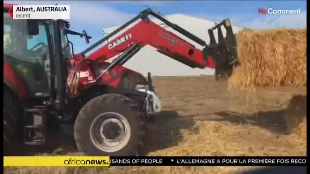 AF AFRICA NEWS EN - AFRICAN AF AFRICA NEWS EN - AFRICAN
