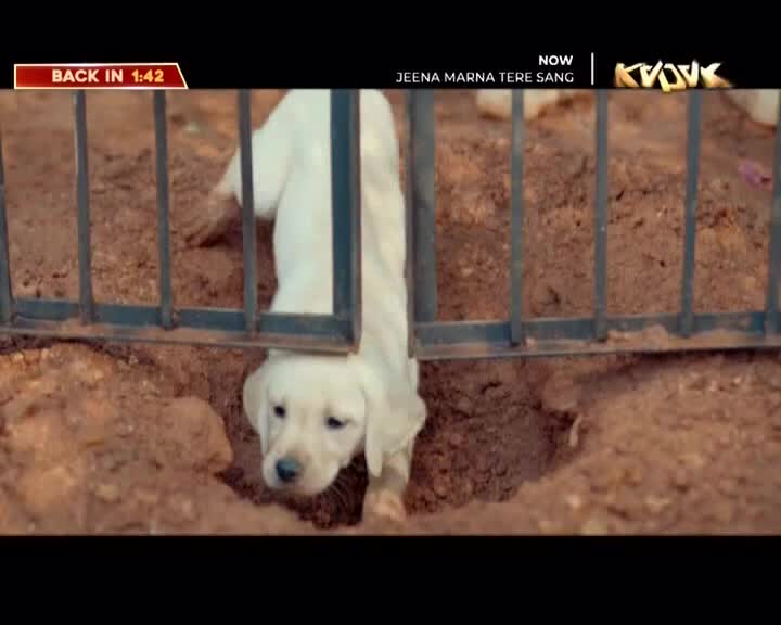 UK B4U KADAK - UNITED KINGDOM