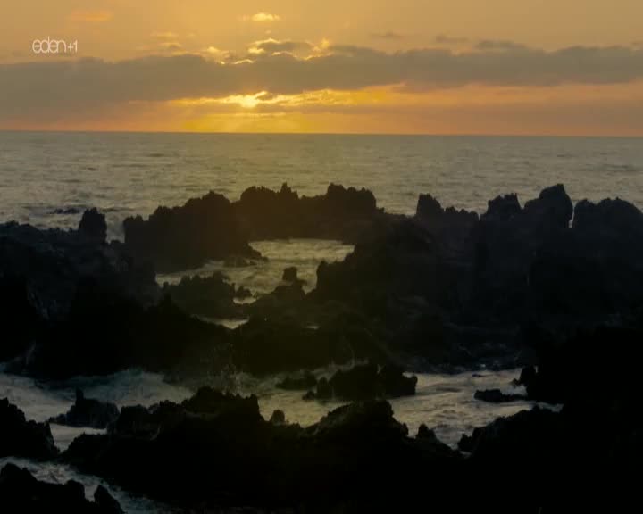 UK EDEN 1 - UNITED KINGDOM