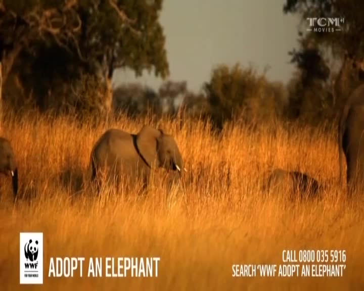 UK TCM MOVIES 1 - UNITED KINGDOM