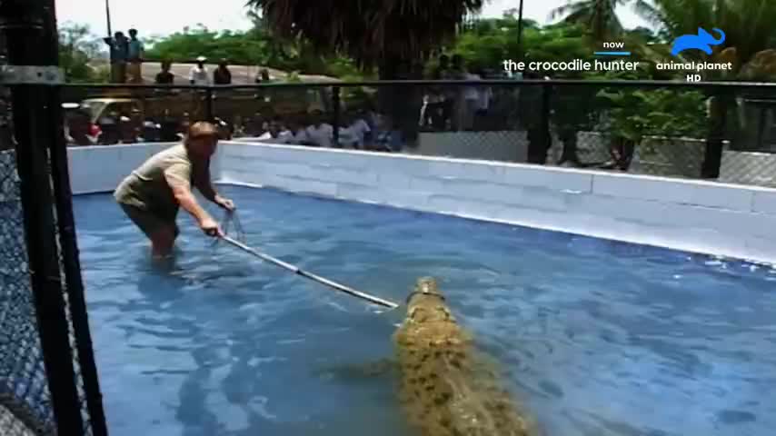 VIP IN ANIMAL PLANET WORLD HD ENG 1 - INDIA