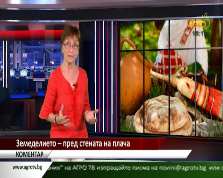 BG AGRO TV - BULGARIA