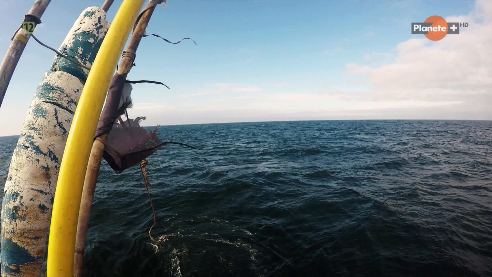 PL PLANETE HD - POLAND