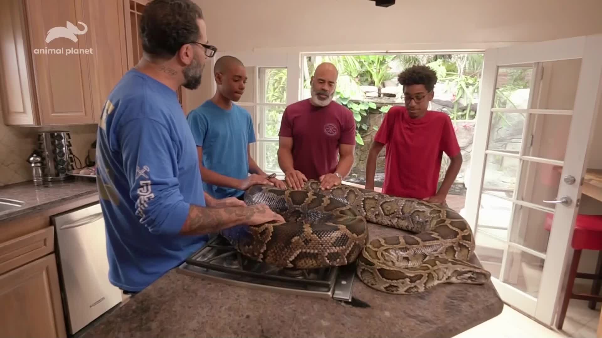 PL ANIMAL PLANET - POLAND