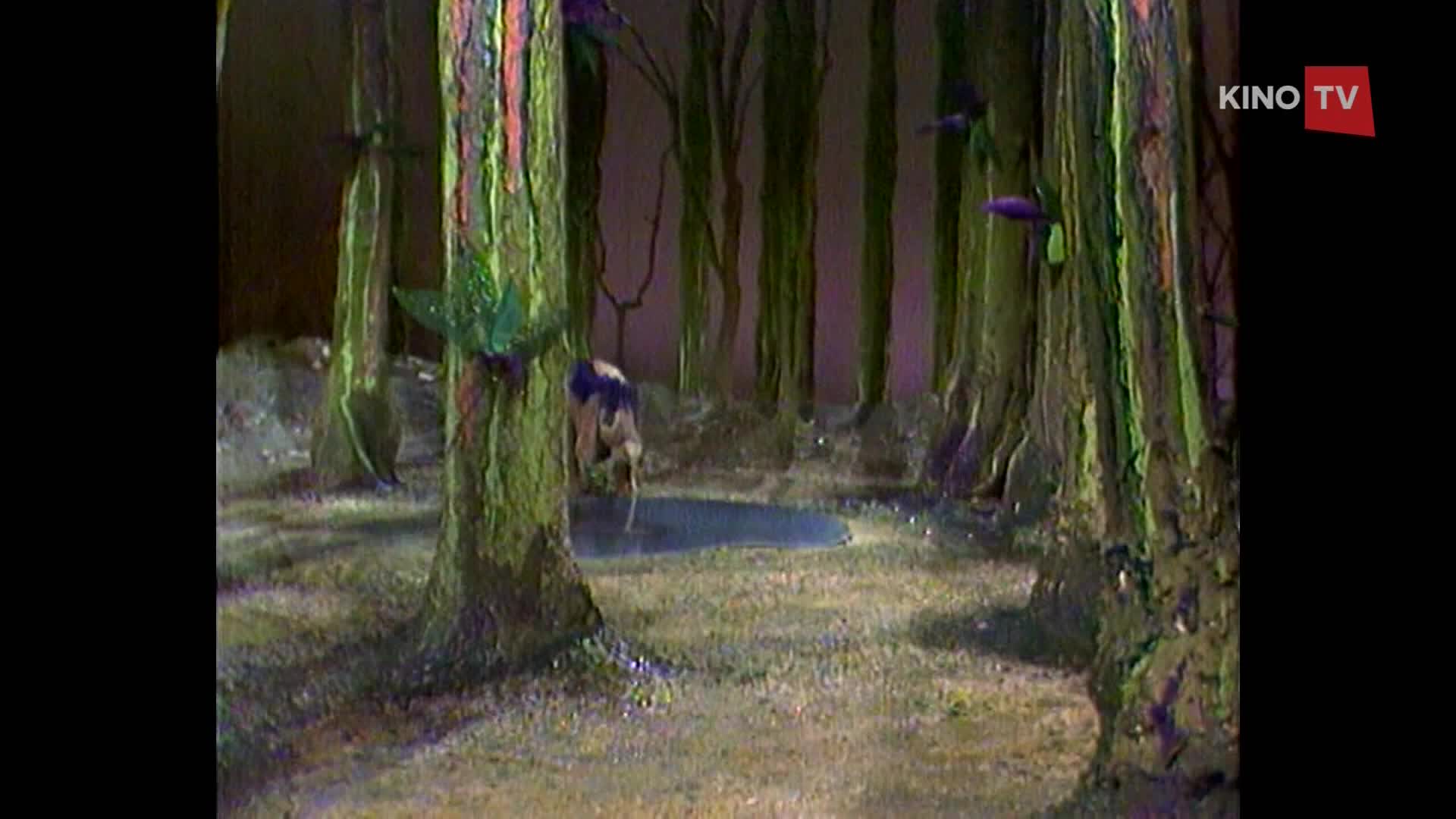 PL HIP HOP TV - POLAND