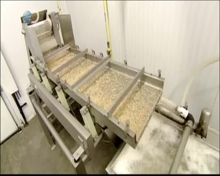 CZ DISCOVERY - CZECH SLOVAKIA