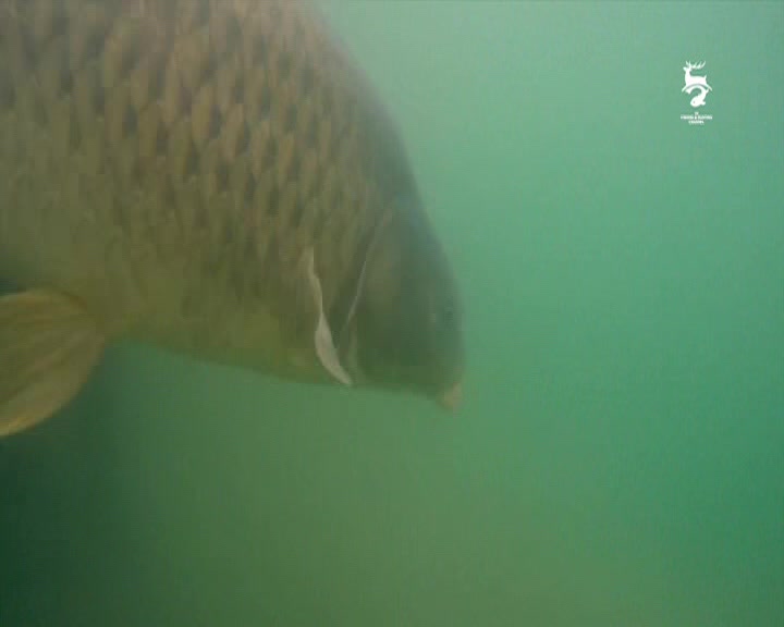 CZ FISHING AND HUNTING - CZECH SLOVAKIA