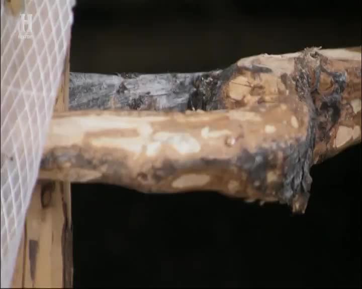 CZ HISTORY - CZECH SLOVAKIA