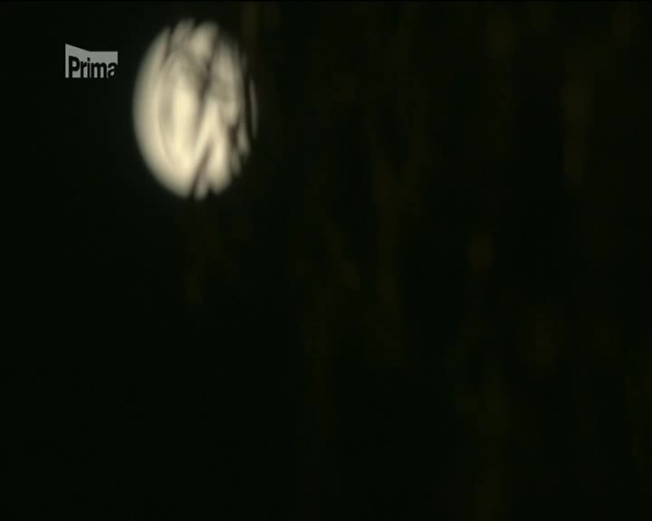 CZ PRIMA HD - CZECH SLOVAKIA