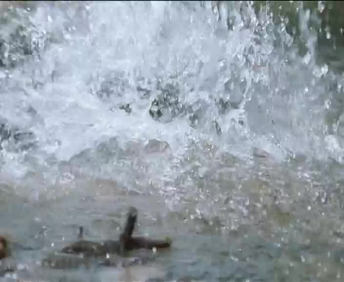 CZ PRIMA ZOOM HD - CZECH SLOVAKIA