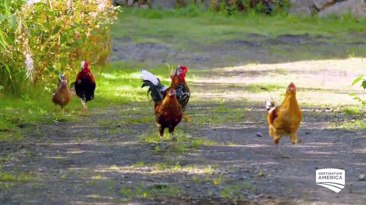 VIP US DESTINATION AMERICA - USA