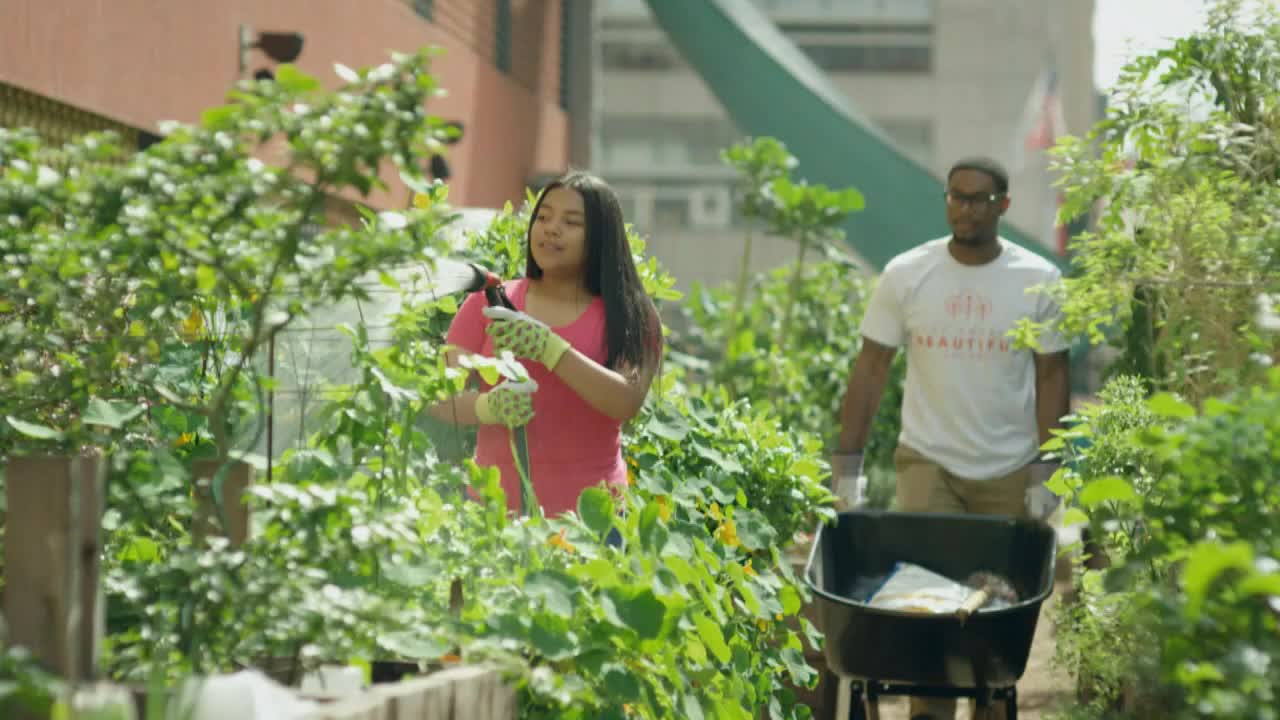 VIP US FOX SOCCER PLUS HD - USA