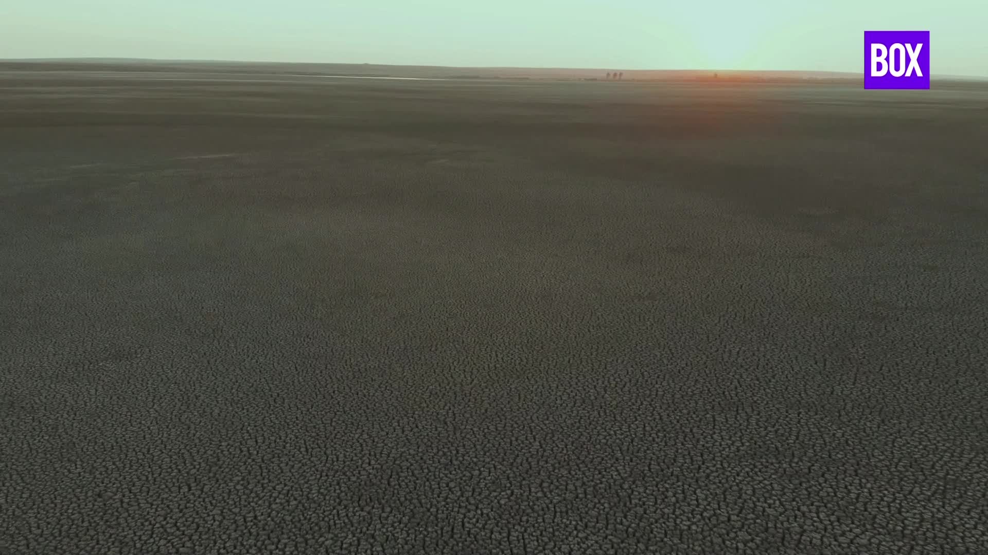 BG BOX TV - BULGARIA